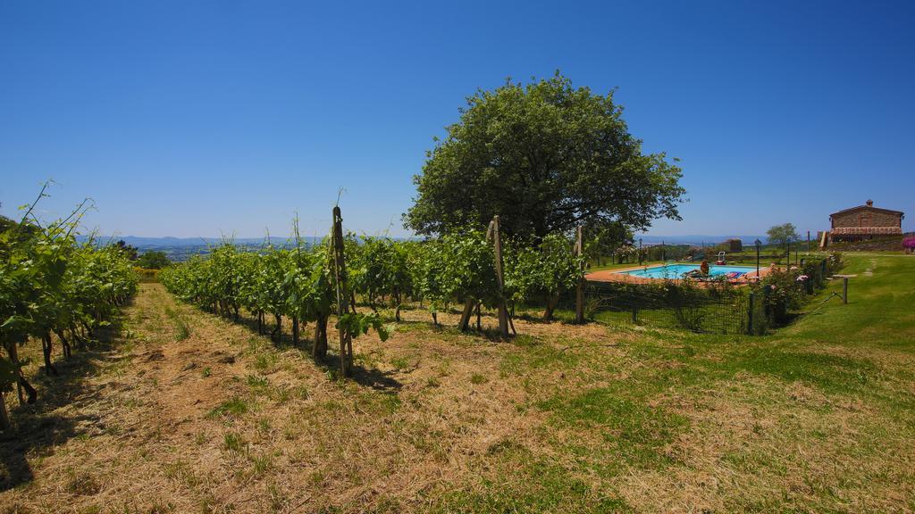 Tenuta Angelici Winery Casa Contea With Pool And Panoramic Pool Cortona Villa Terontola Værelse billede